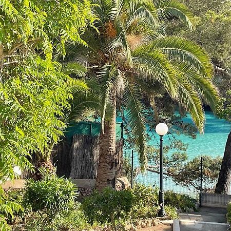 Playa D'Or 16 / Cala D'Or / Mallorca エクステリア 写真