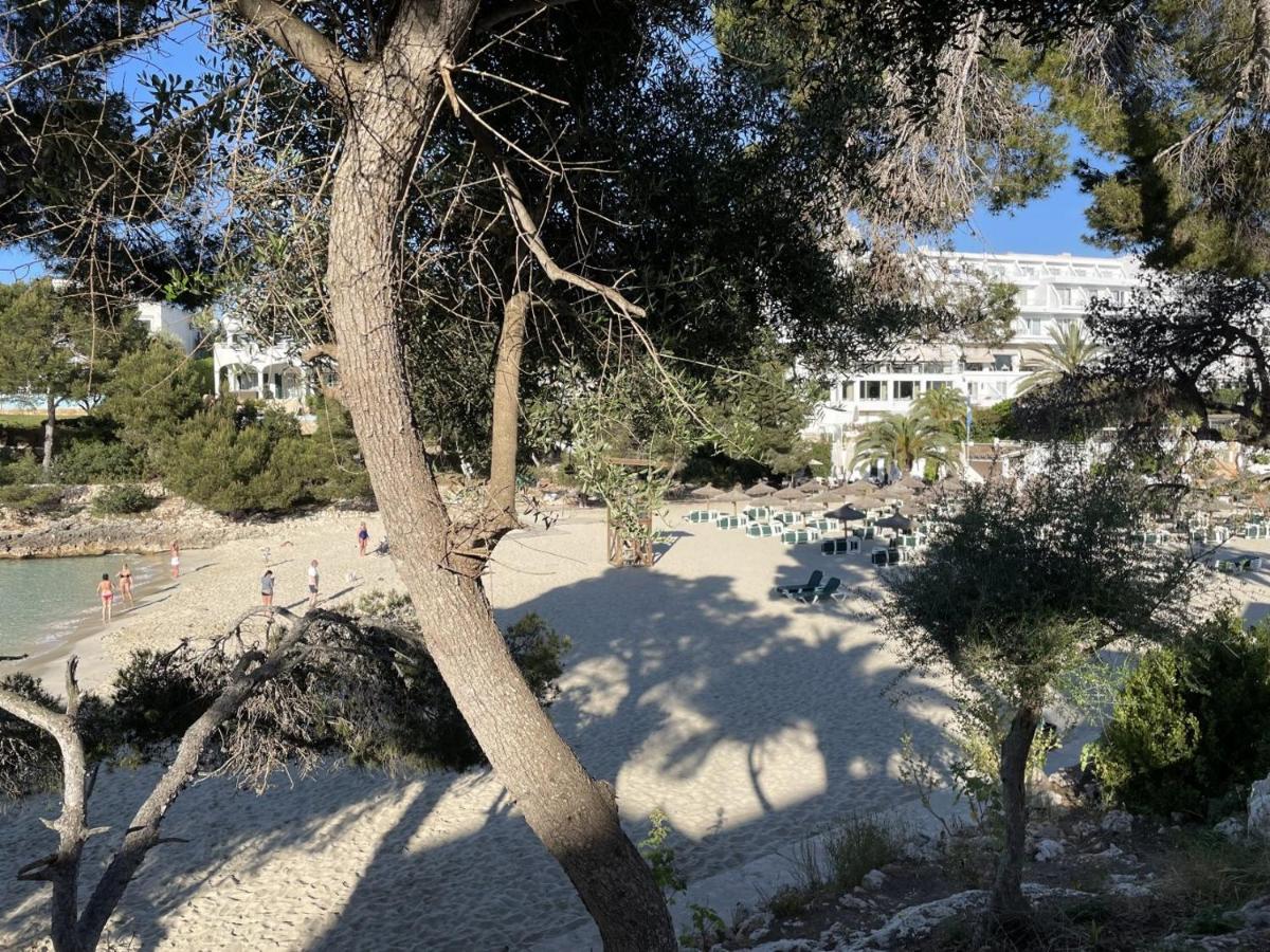 Playa D'Or 16 / Cala D'Or / Mallorca エクステリア 写真