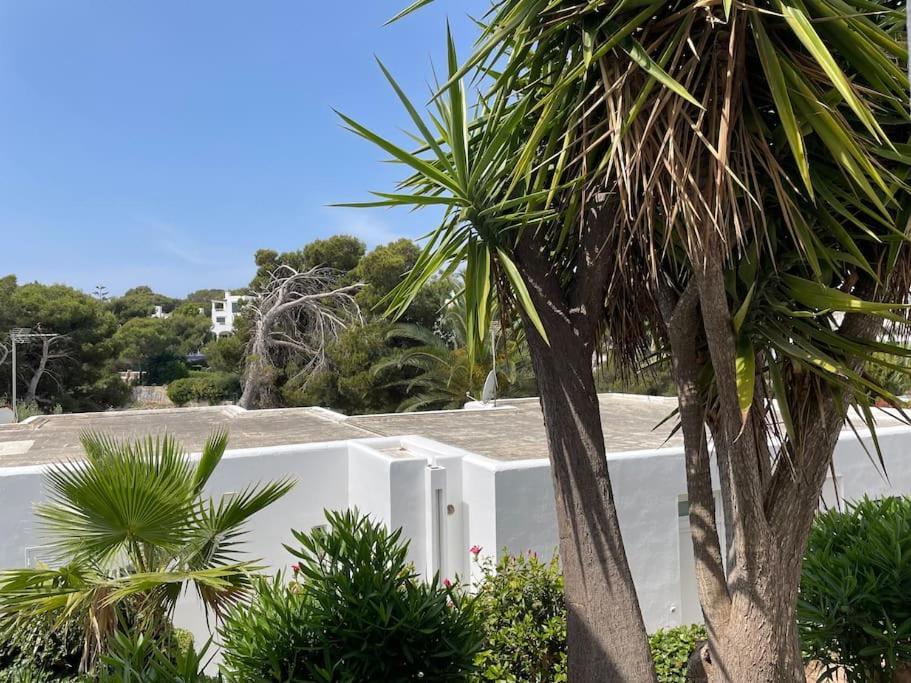 Playa D'Or 16 / Cala D'Or / Mallorca エクステリア 写真