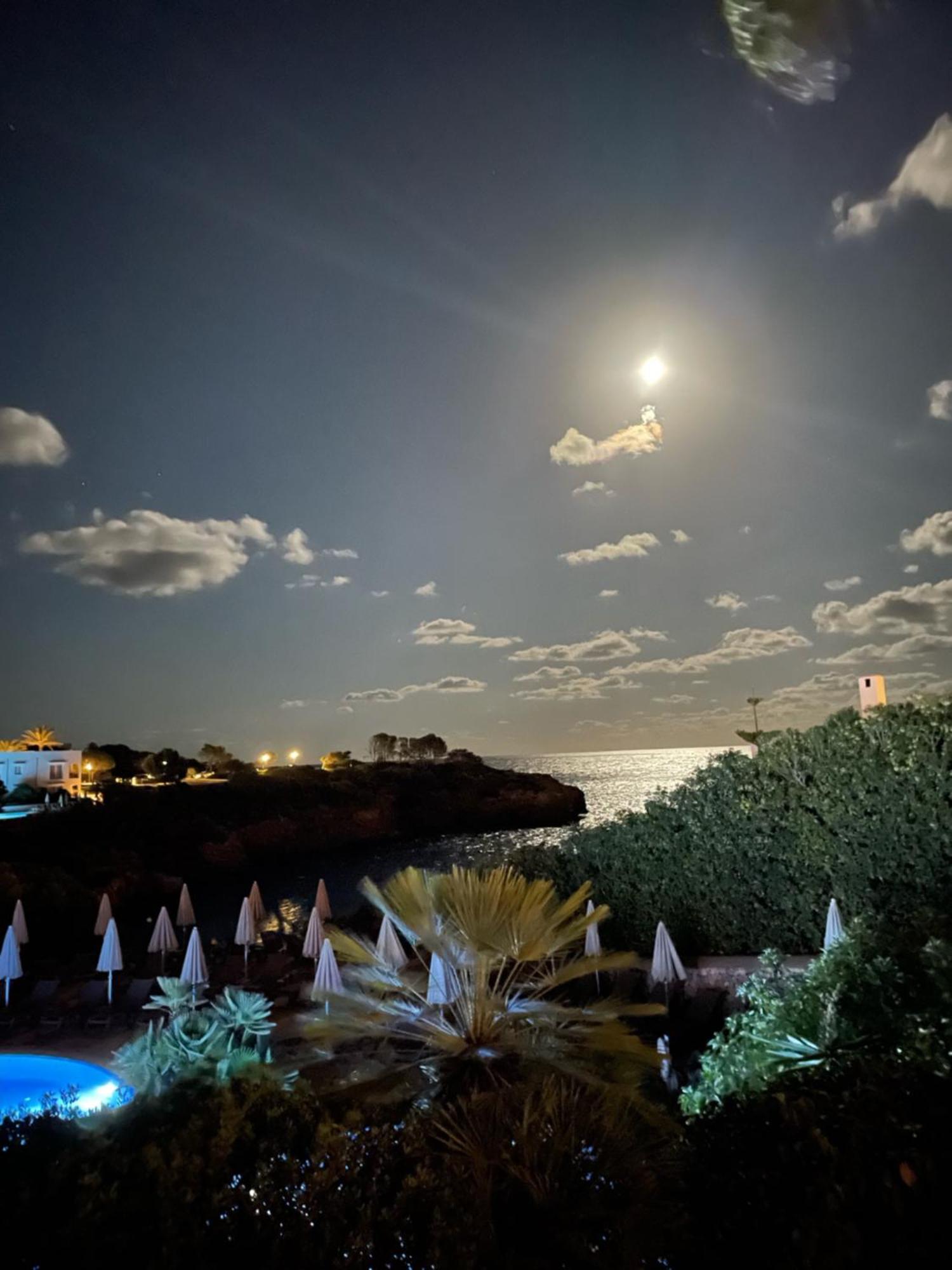 Playa D'Or 16 / Cala D'Or / Mallorca エクステリア 写真